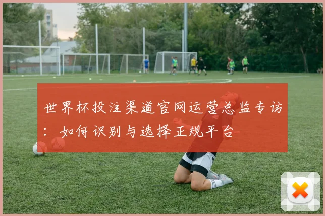 世界杯投注渠道官网运营总监专访：如何识别与选择正规平台