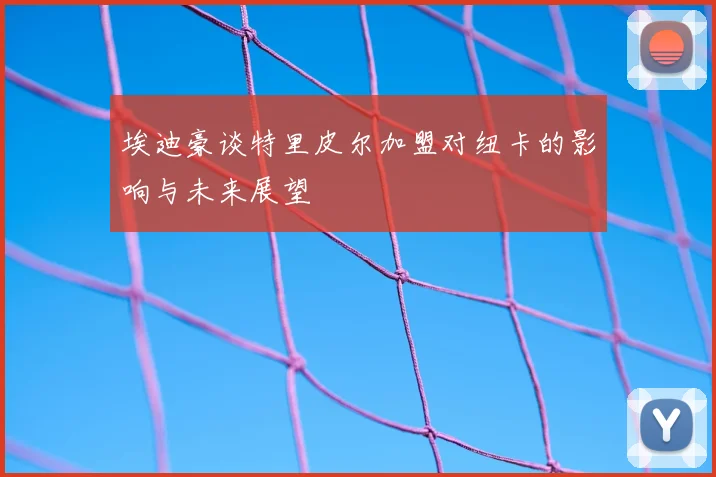 埃迪豪谈特里皮尔加盟对纽卡的影响与未来展望