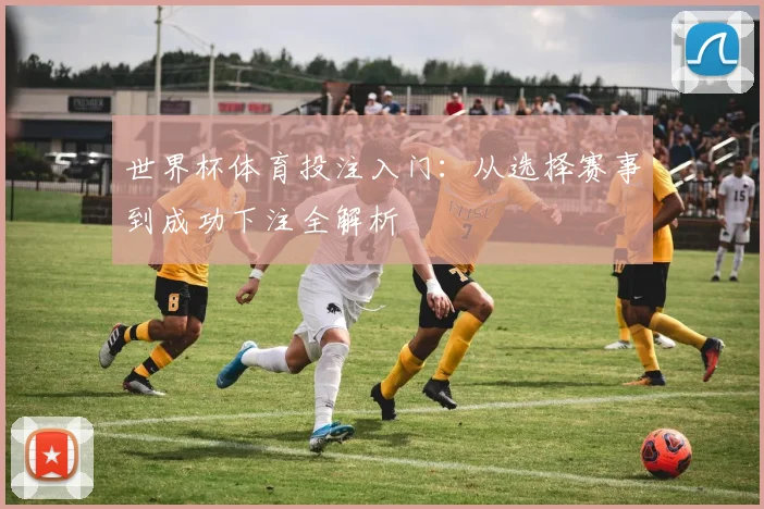 世界杯体育投注入门:从选择赛事到成功下注全解析