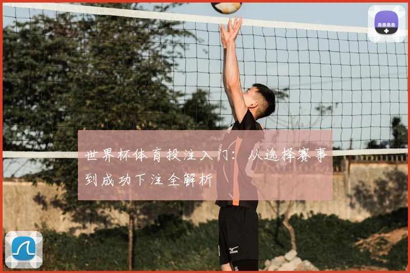 世界杯体育投注入门:从选择赛事到成功下注全解析