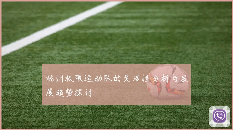 杭州极限运动队的灵活性分析与发展趋势探讨