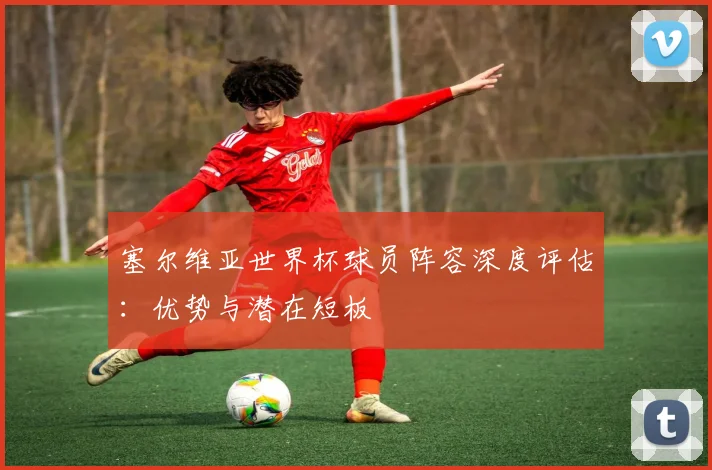 塞尔维亚世界杯球员阵容深度评估：优势与潜在短板