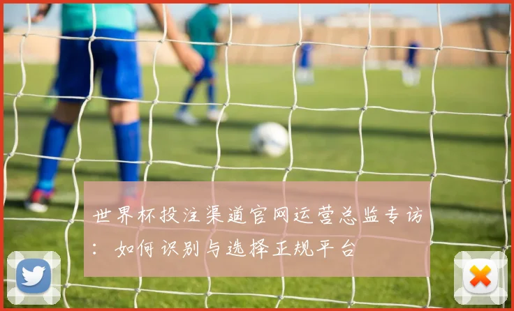 世界杯投注渠道官网运营总监专访：如何识别与选择正规平台