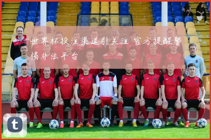 世界杯投注渠道引关注 官方提醒警惕非法平台