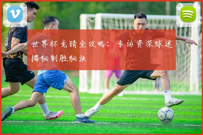 世界杯竞猜全攻略:专访资深球迷揭秘制胜秘诀