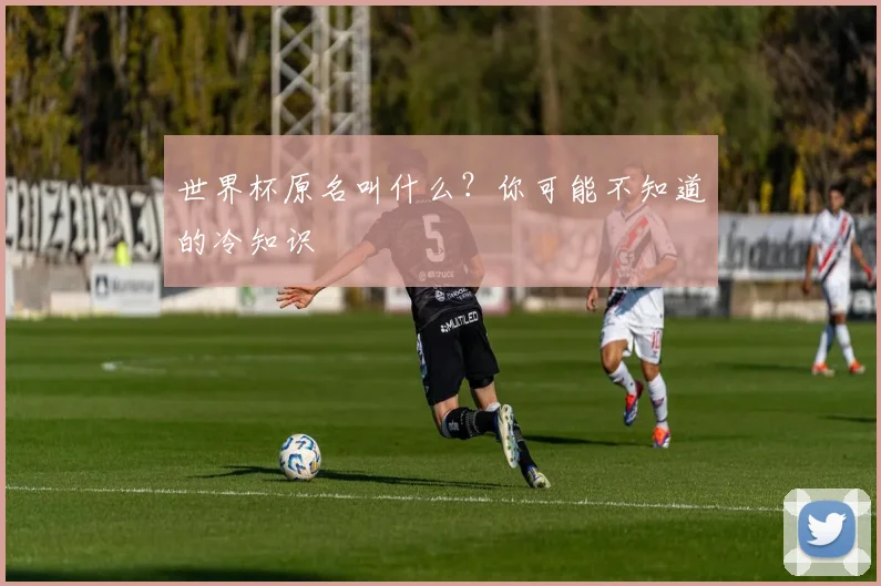 世界杯原名叫什么？你可能不知道的冷知识