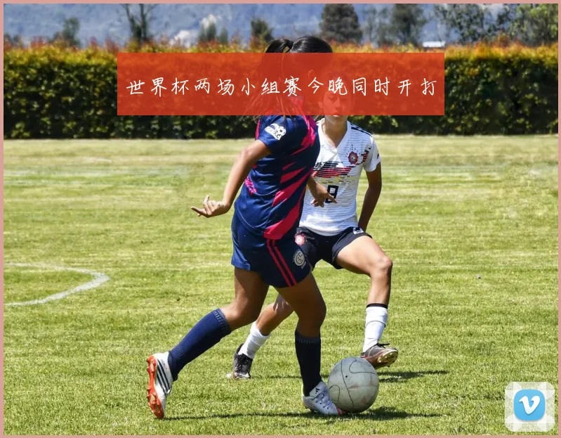 世界杯两场小组赛今晚同时开打