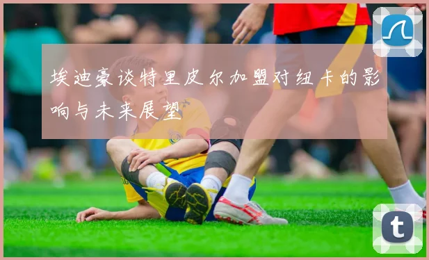 埃迪豪谈特里皮尔加盟对纽卡的影响与未来展望