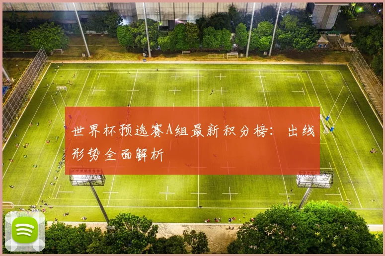 世界杯预选赛A组最新积分榜：出线形势全面解析