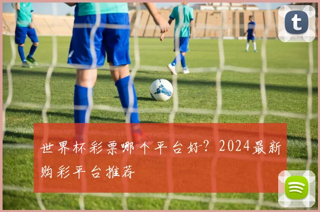 世界杯彩票哪个平台好？2024最新购彩平台推荐