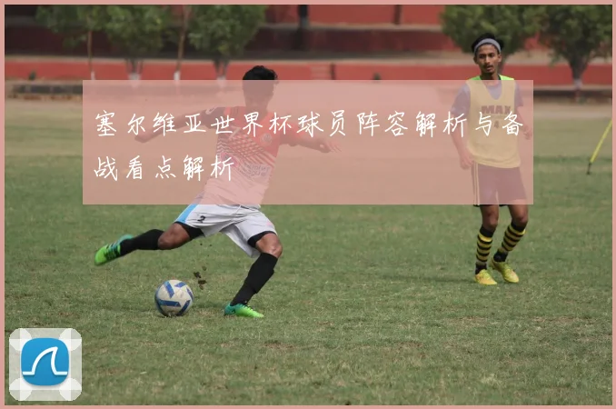 塞尔维亚世界杯球员阵容解析与备战看点解析