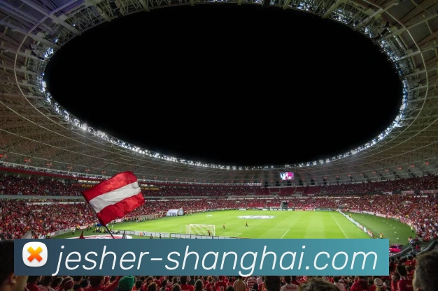 登录器